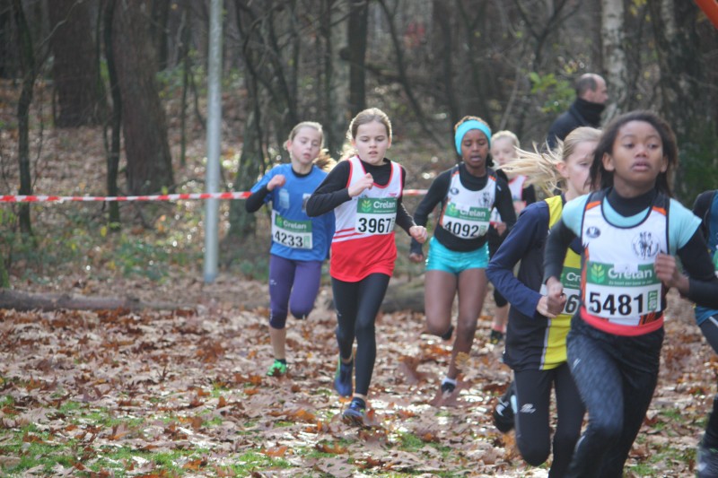 De Veldloop Kalender winter 2017-2018 in dit bericht