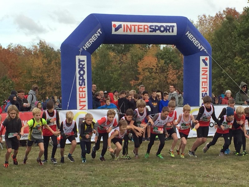 Zondag 28 Oktober 2018 Veldloop DCLA in Heverlee.