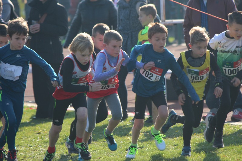 Zondag 4 November 2018 LCC veldloop in Tongeren ( 8 podium plaatsen voor DCLA-Halen)