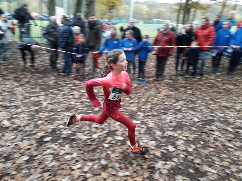 LCC veldloop Genk zondag 24 november